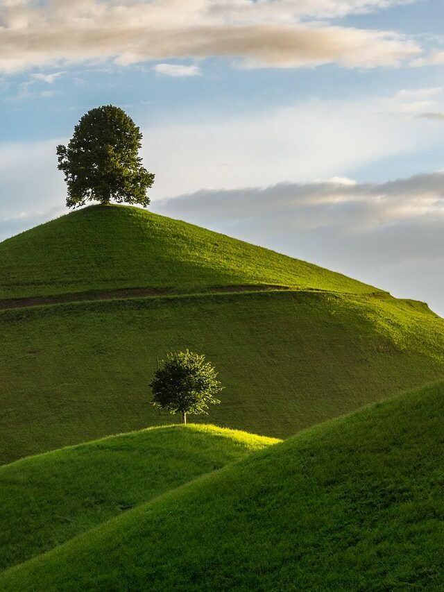 hill, nature, tree, drumlin, landscape